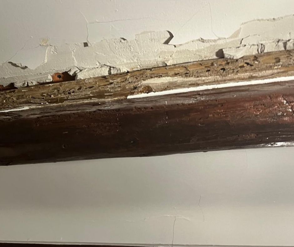 Vigas de madera afectadas por carcoma en Tarragona - Necesitan sustitución