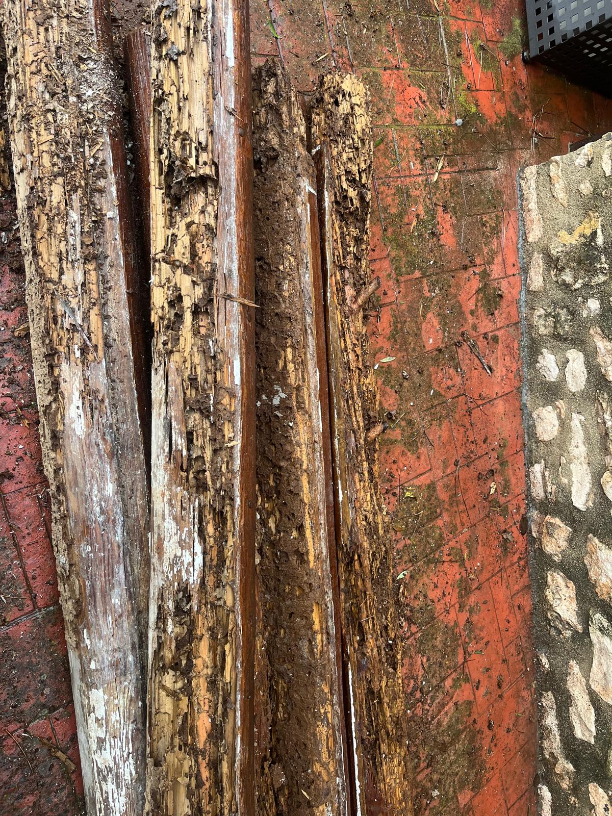 Apuntalamiento temporal en obra