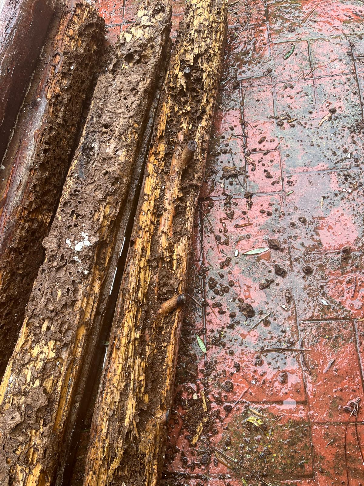 Vigas instaladas en obra