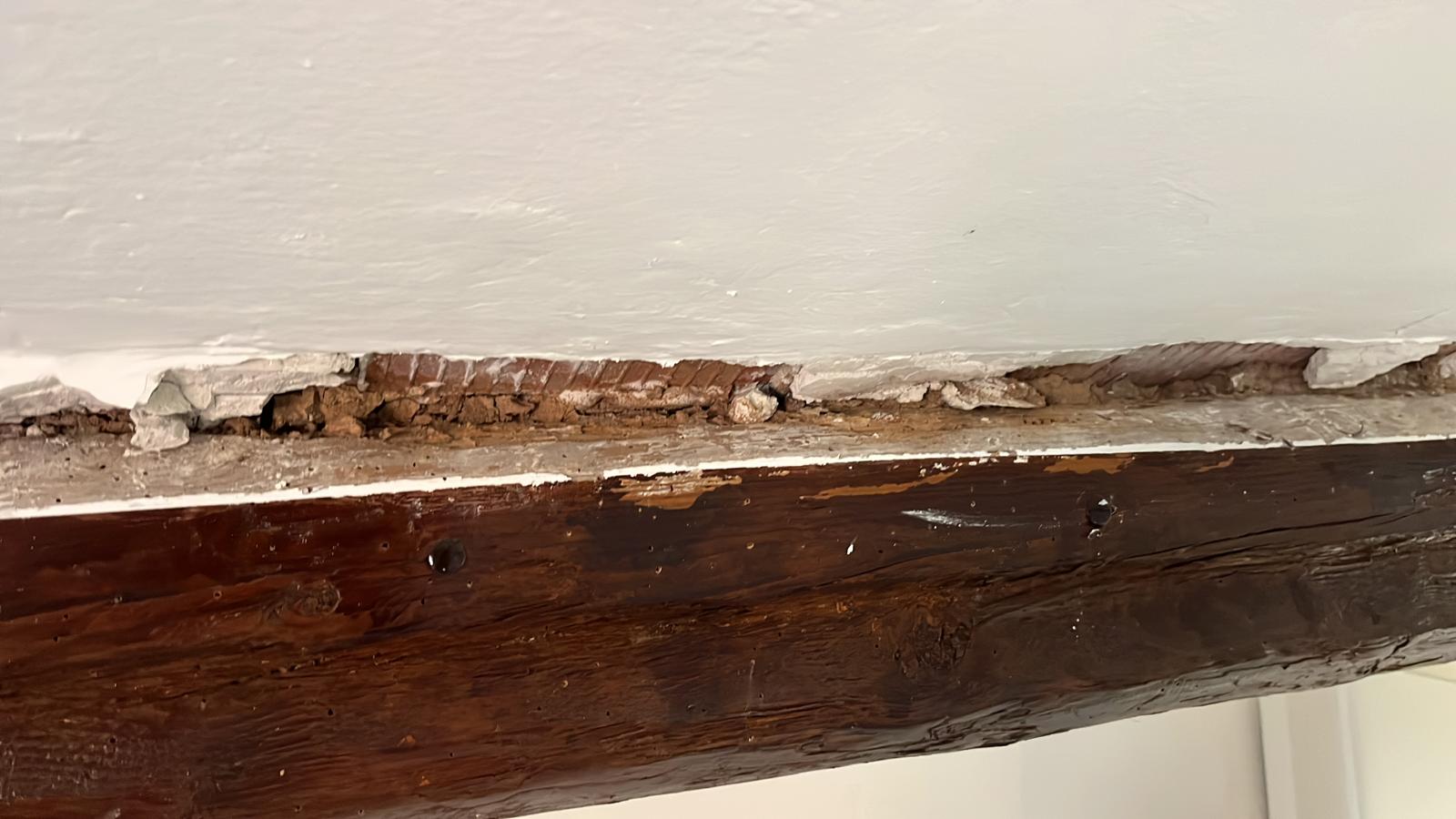 Túneles en viga estructural