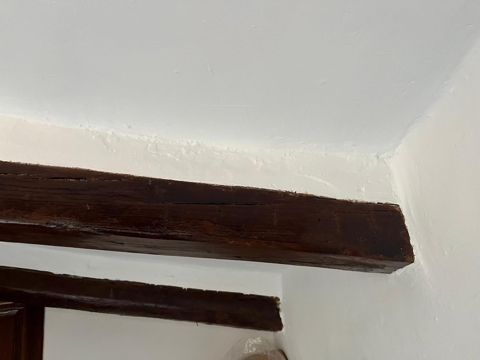 Carcoma visible en superficie de viga