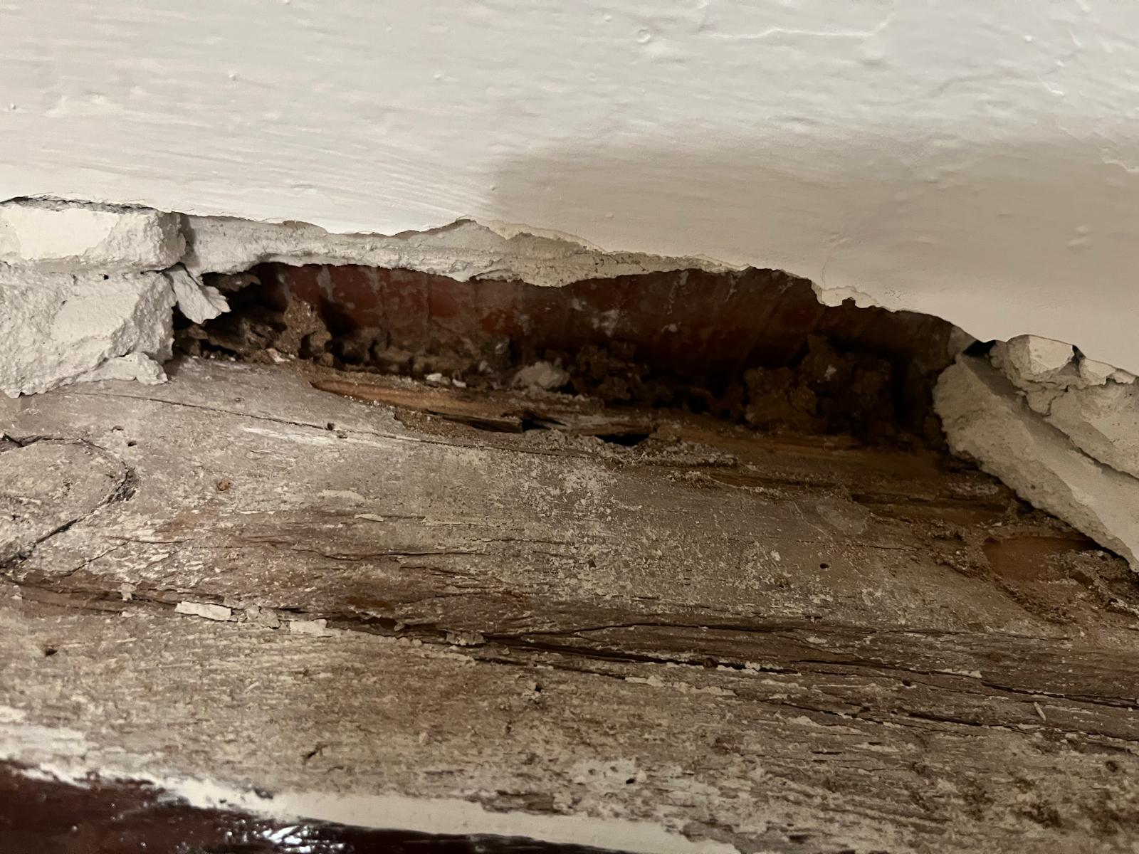 Viga con termitas mostrando daño interno grave